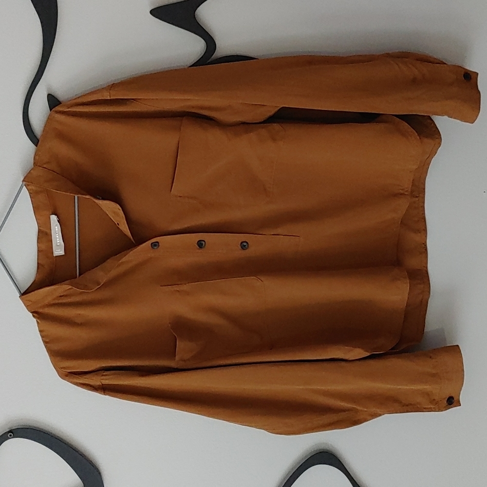 Everlane washable silk henley